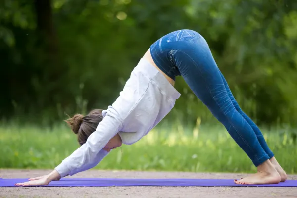 Person practicing Adho Mukha Svanasana, or downward-facing dog, outdoors on a yoga mat surrounded by lush greenery.